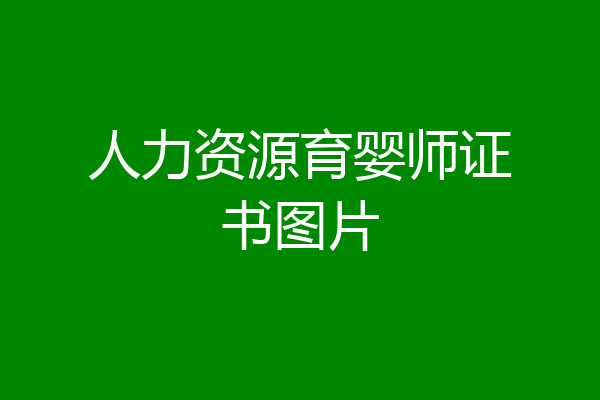 人力资源育婴师证书图片