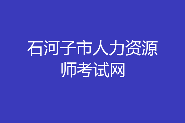 石河子市人力资源师考试网