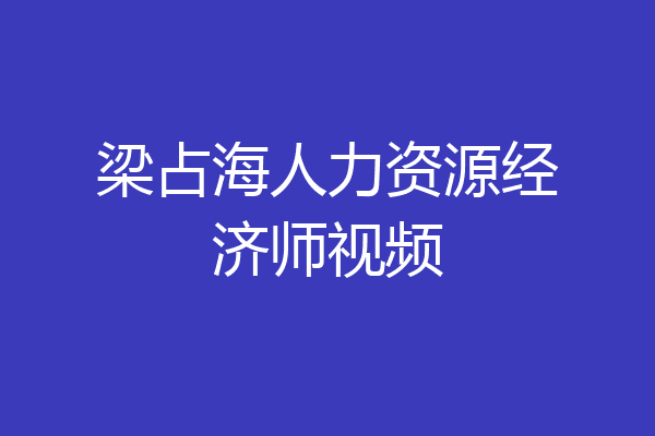 梁占海人力资源经济师视频