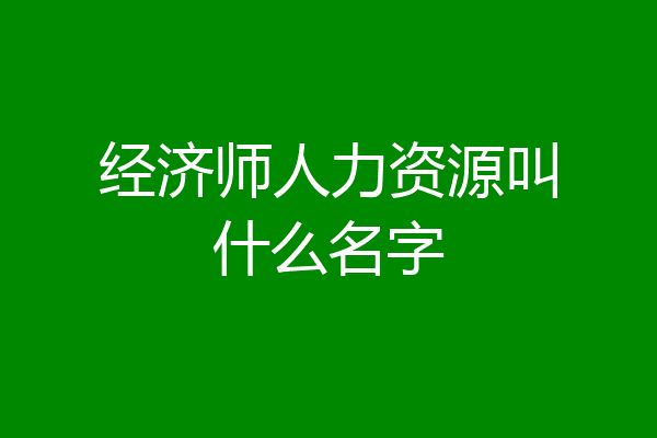 经济师人力资源叫什么名字