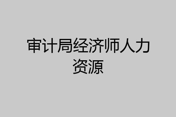 审计局经济师人力资源