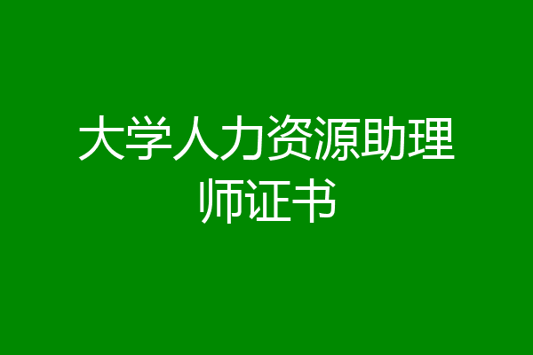 大学人力资源助理师证书
