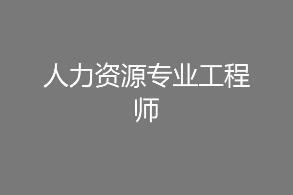 人力资源专业工程师