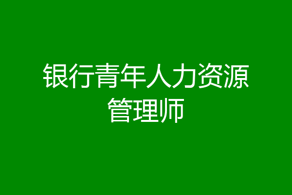 银行青年人力资源管理师