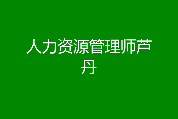 人力资源管理师芦丹