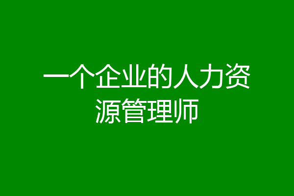 一个企业的人力资源管理师