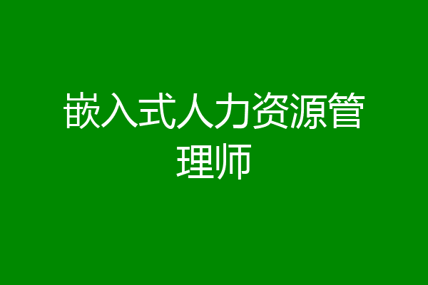 嵌入式人力资源管理师