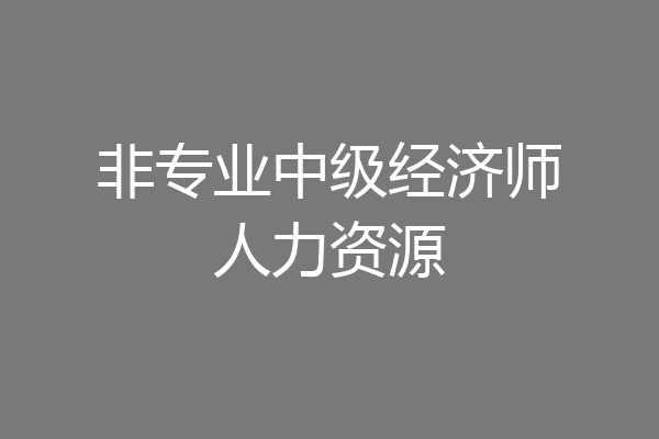 非专业中级经济师人力资源