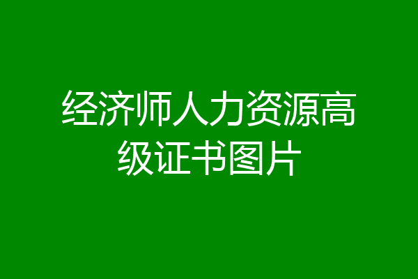 经济师人力资源高级证书图片