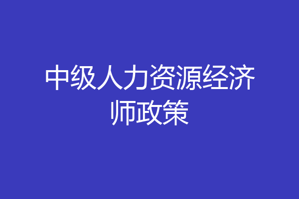 中级人力资源经济师政策