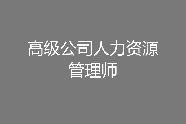 高级公司人力资源管理师