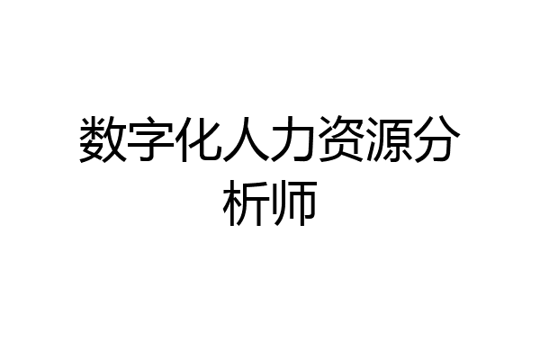 数字化人力资源分析师