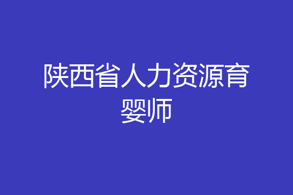 陕西省人力资源育婴师