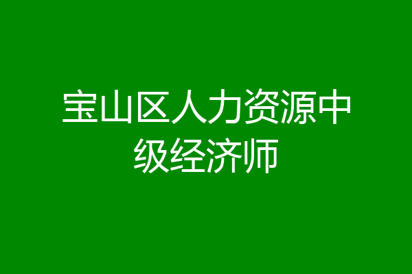 宝山区人力资源中级经济师