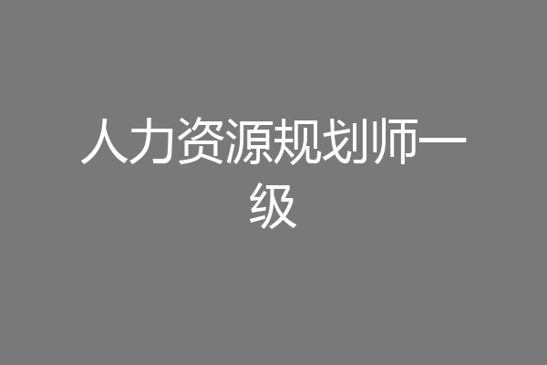 人力资源规划师一级