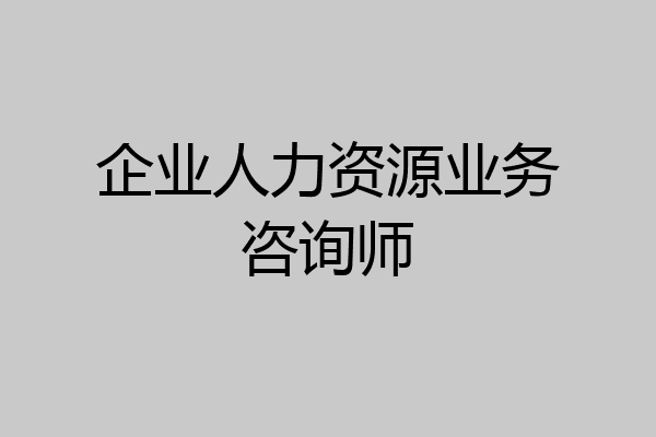 企业人力资源业务咨询师
