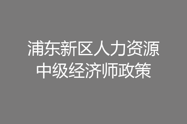浦东新区人力资源中级经济师政策