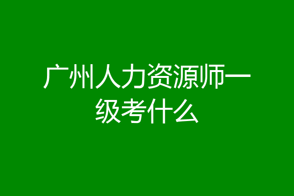 广州人力资源师一级考什么
