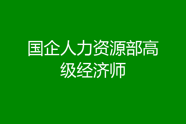 国企人力资源部高级经济师