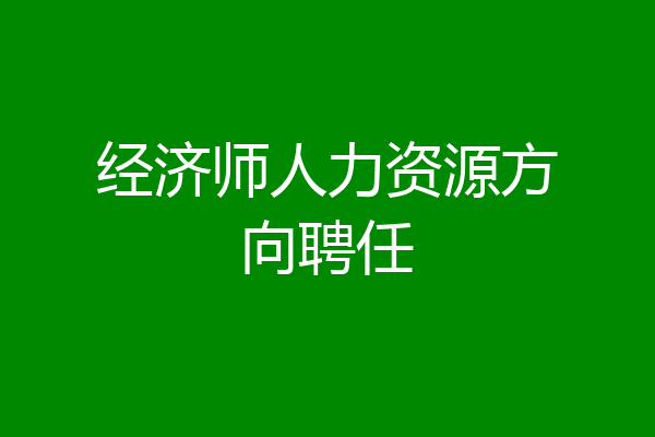 经济师人力资源方向聘任