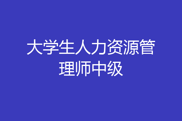 大学生人力资源管理师中级