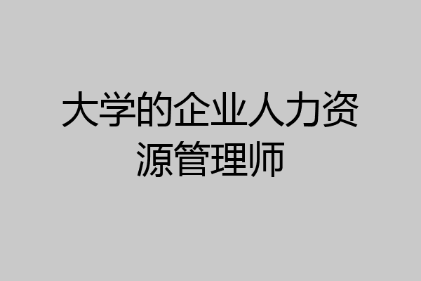 大学的企业人力资源管理师