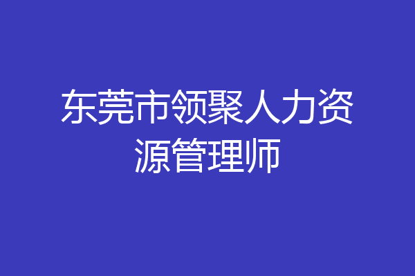 东莞市领聚人力资源管理师