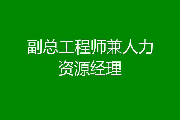 副总工程师兼人力资源经理