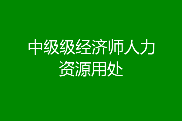 中级级经济师人力资源用处
