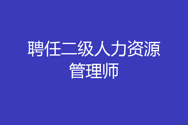 聘任二级人力资源管理师