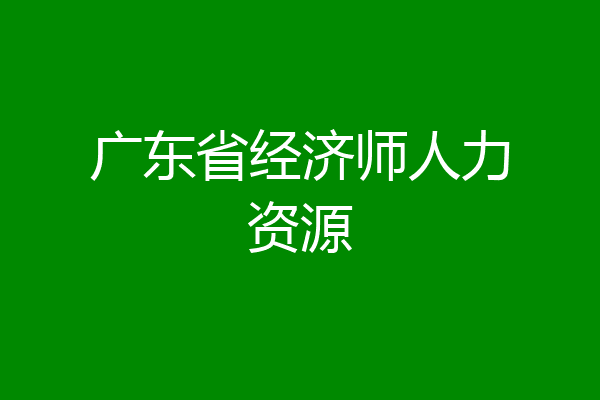 广东省经济师人力资源