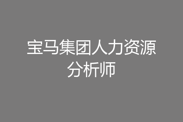 宝马集团人力资源分析师