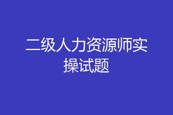 二级人力资源师实操试题