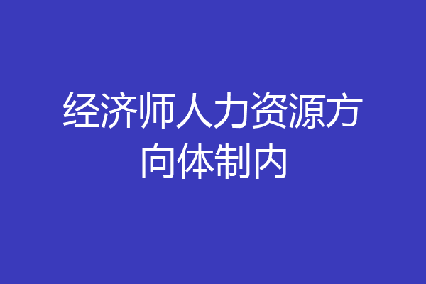 经济师人力资源方向体制内