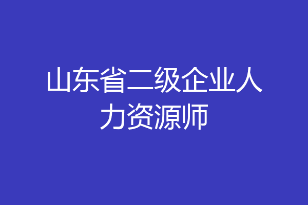 山东省二级企业人力资源师