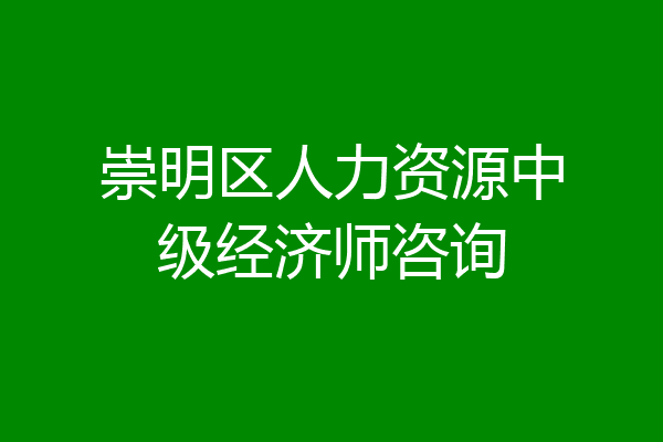 崇明区人力资源中级经济师咨询