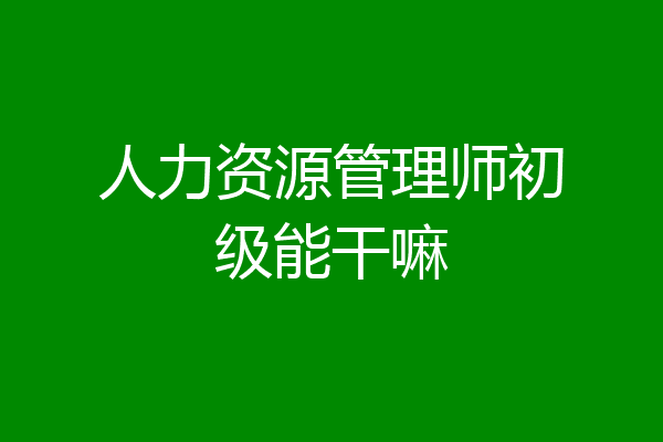 人力资源管理师初级能干嘛