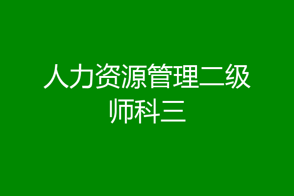 人力资源管理二级师科三