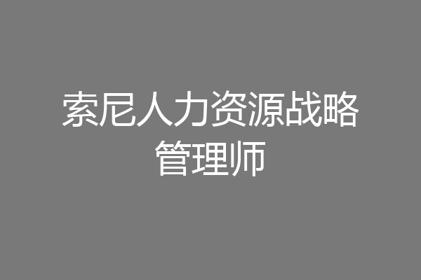 索尼人力资源战略管理师