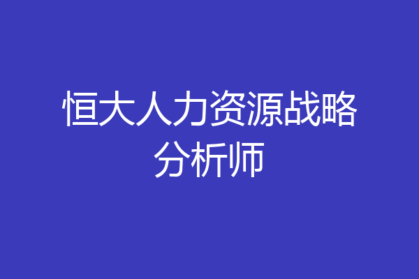 恒大人力资源战略分析师