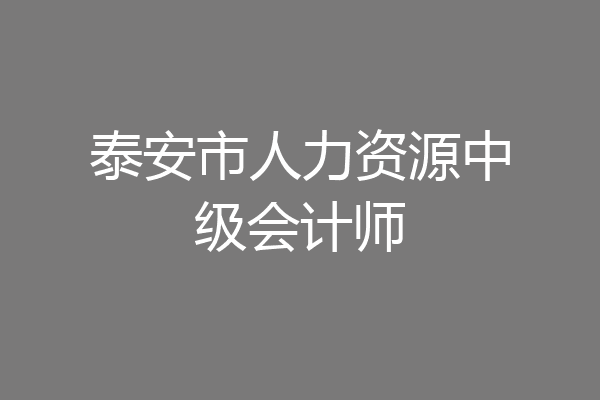 泰安市人力资源中级会计师