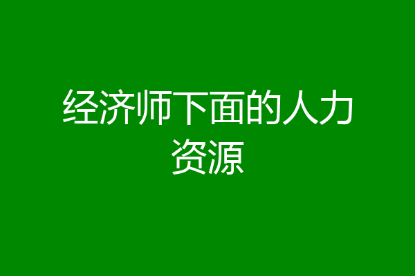 经济师下面的人力资源
