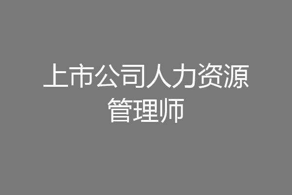 上市公司人力资源管理师