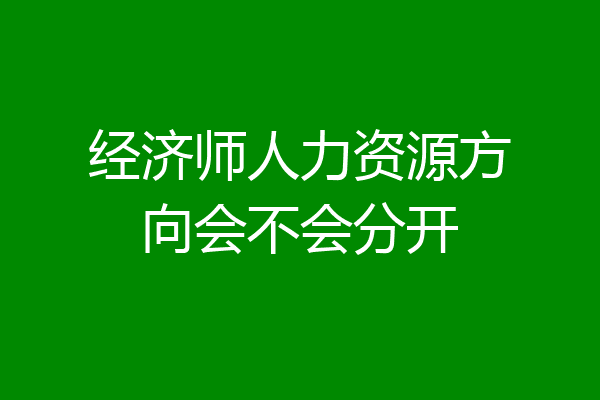 经济师人力资源方向会不会分开
