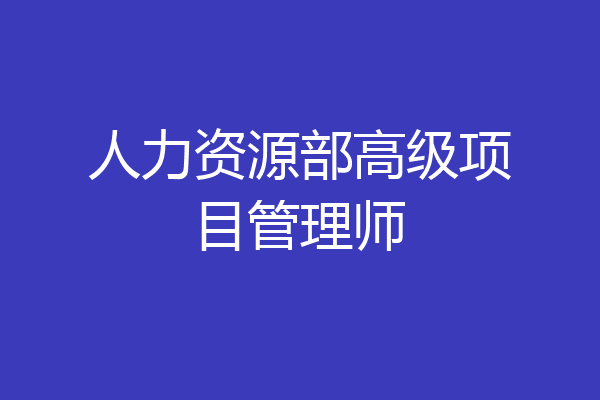 人力资源部高级项目管理师