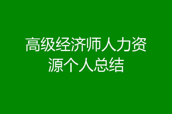 高级经济师人力资源个人总结