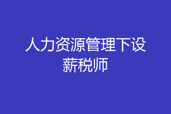 人力资源管理下设薪税师