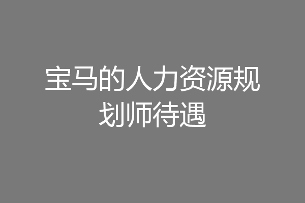 宝马的人力资源规划师待遇