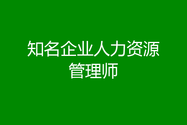 知名企业人力资源管理师
