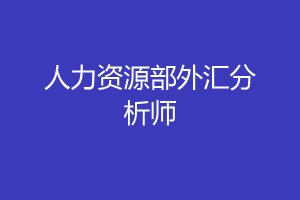 人力资源部外汇分析师